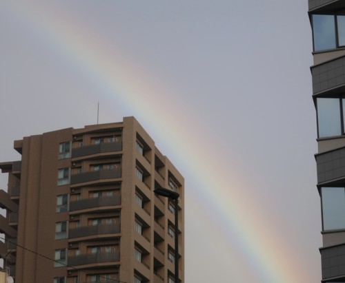 nenkin rainbow (50)