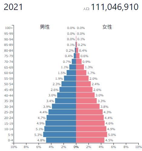 population pyramid PH 2021