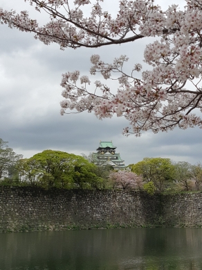 大阪城桜5