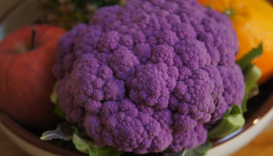purplecaliflowere1.jpg
