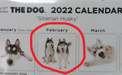 THE DOG 2002 ハスキーカレンダーのトリュフ＆ポトフ