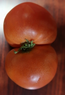 おしりトマト