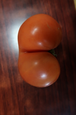おしりトマト