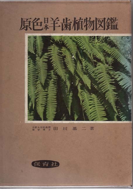 日本羊歯植物図鑑