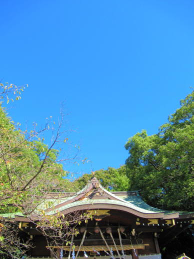 201　　川口氷川神社(1)