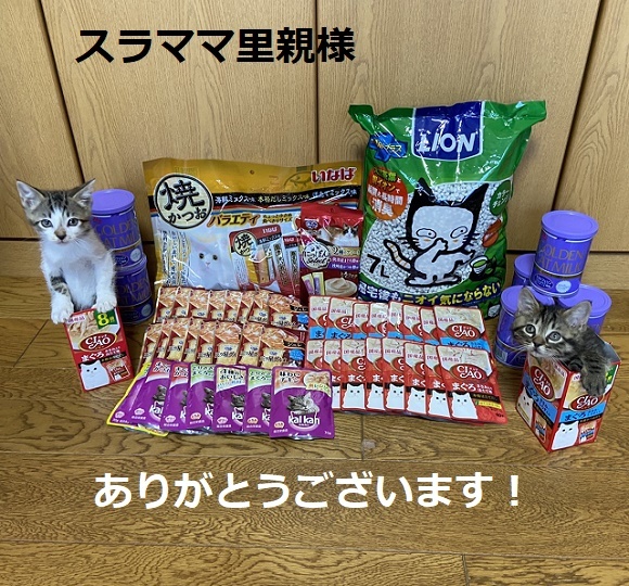 4匹子猫風邪治ってきました+猫ご飯御礼 - サクラねこ名古屋