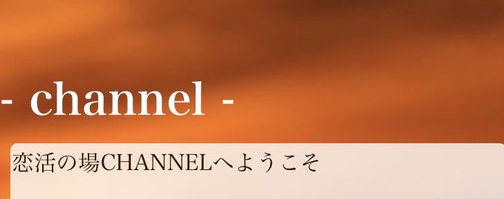 【channel/チャンネル】VIT VIET NAM TRADING COMPANY LIMITED 詐欺