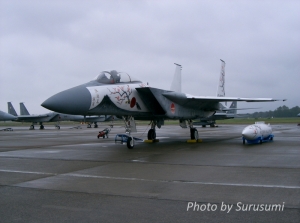 F-15J 航空自衛隊 50周年記念塗装機　（2004年百里基地）