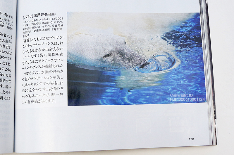 株式会社日本写真企画「フォトコン11月号」にて受賞しました。タイトル「バフッ」