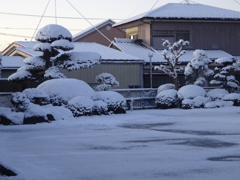 「駐車場と庭が雪一面になってしまいました。」③