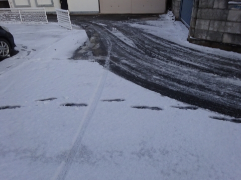 「駐車場と庭が雪一面になってしまいました。」⑥