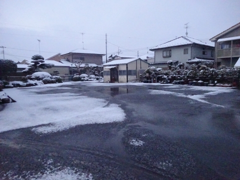 令和4年2月１１日午前６時３０分、石岡市は雪が少しだけ積もりました。①